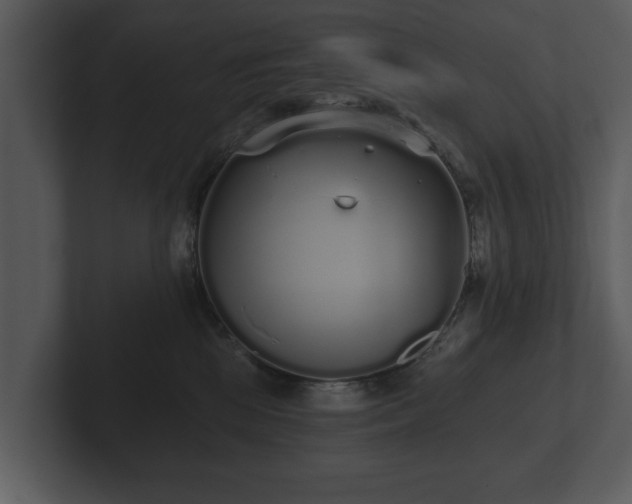 X0000103150281200808291436