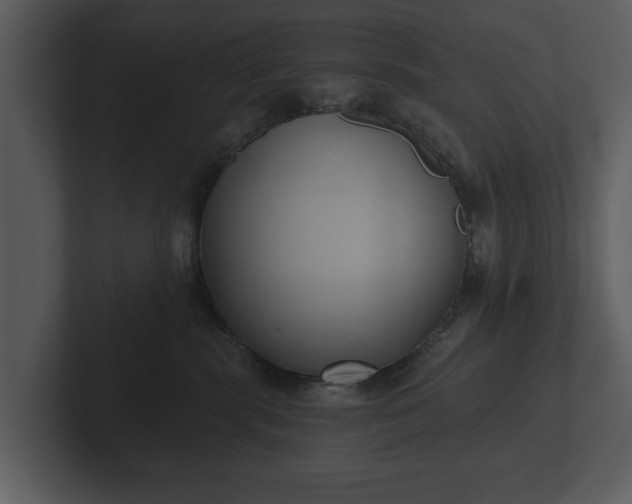 X0000103150283200808291436