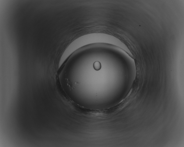 X0000103150284200808291436