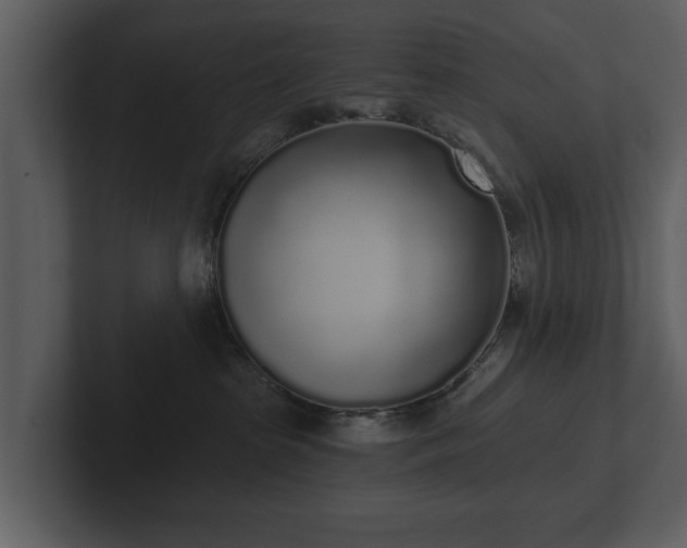 X0000103150285200808291436