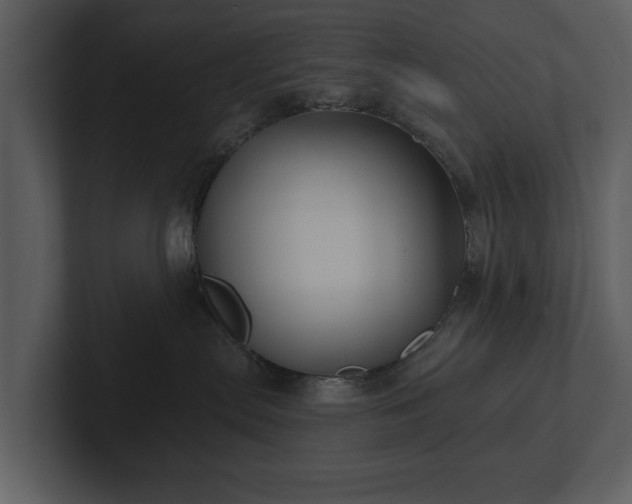 X0000103150287200808291436