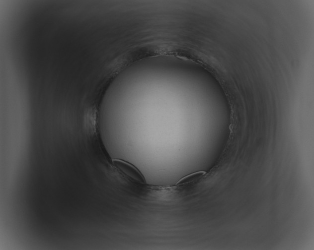 X0000103150288200808291436