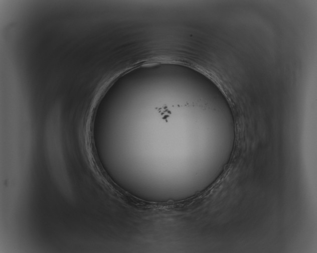 X0000103150289200808291435