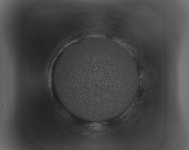 X0000103150290200808291435