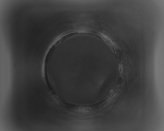 X0000103150292200808291435