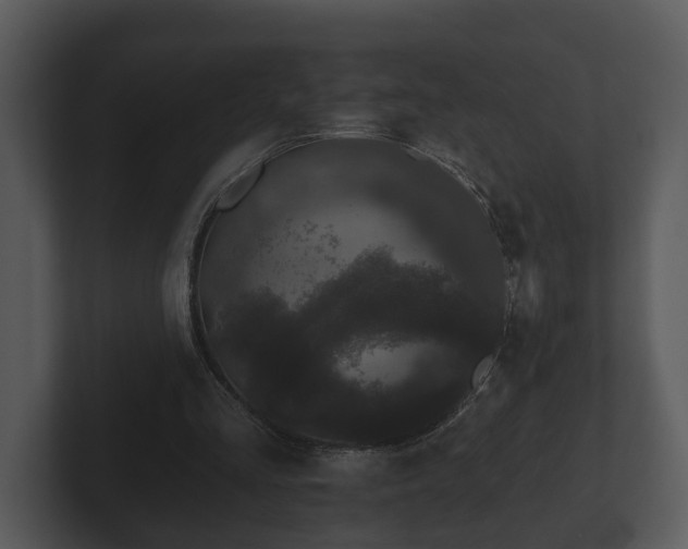 X0000103150293200808291435