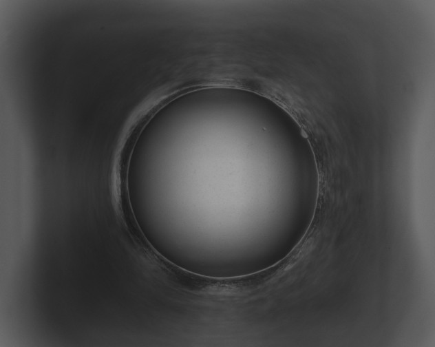 X0000103150294200808291435