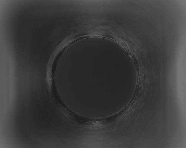 X0000103150295200808291435