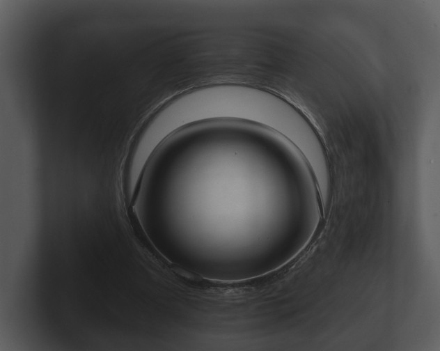 X0000103150297200808291435