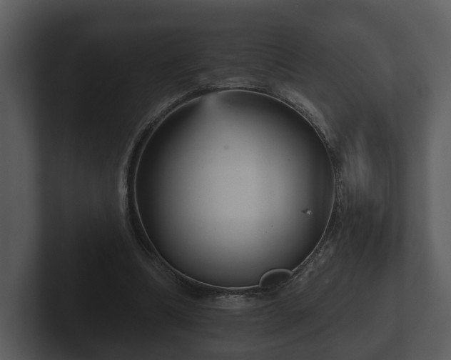 X0000103150298200808291435