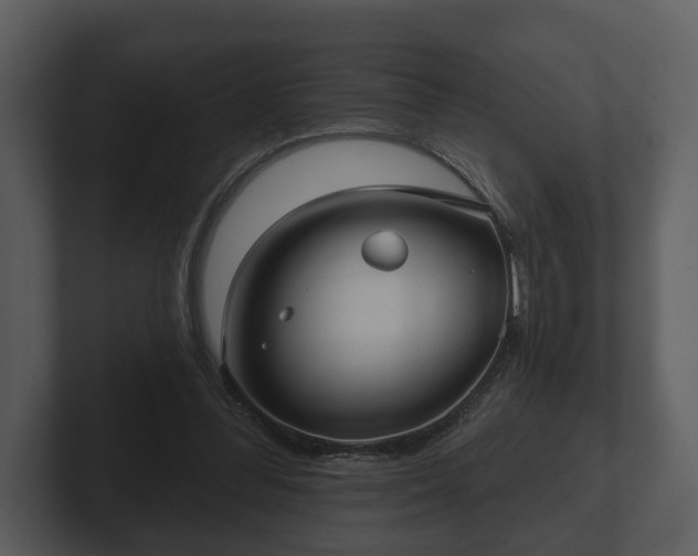 X0000103150300200808291435