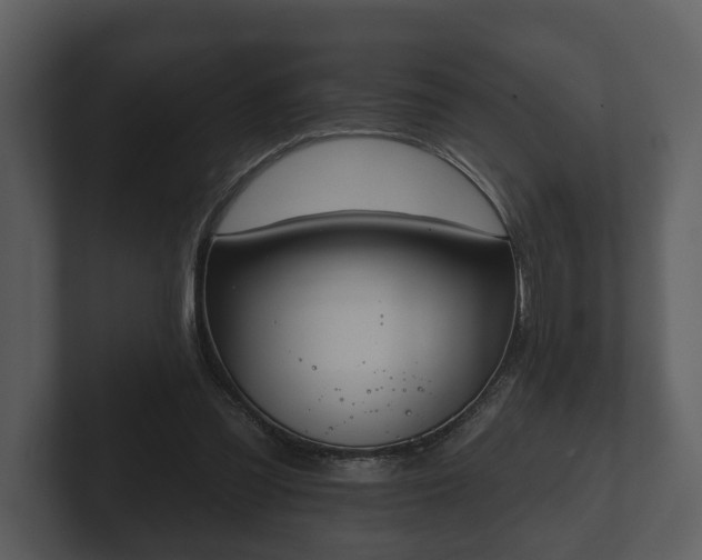 X0000103150301200808291435