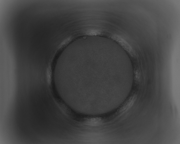 X0000103150304200808291435