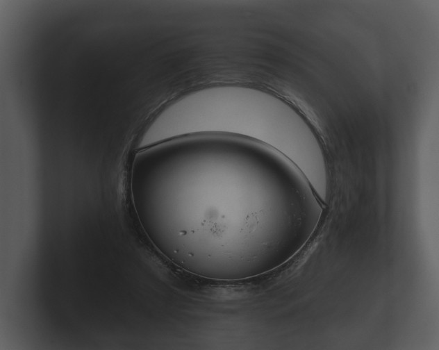 X0000103150305200808291435