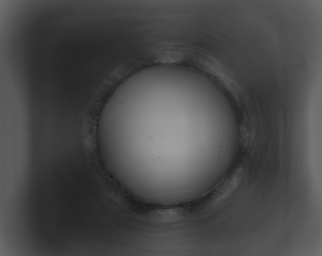 X0000103150307200808291435