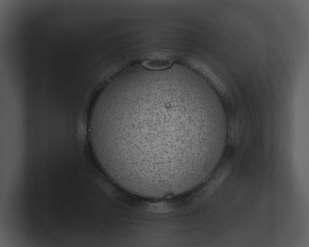 X0000103150309200808291435