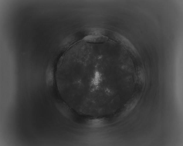 X0000103150312200808291435