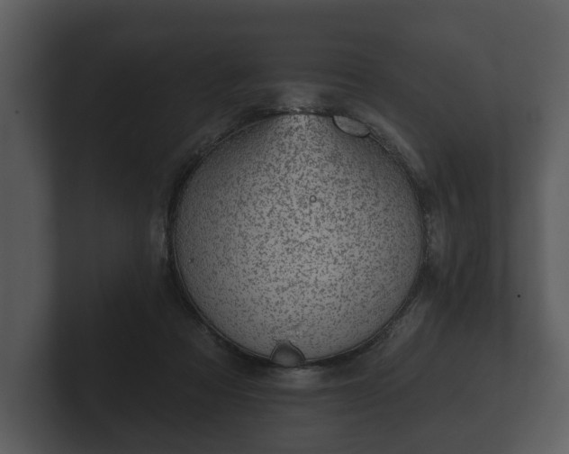 X0000103150313200808291435