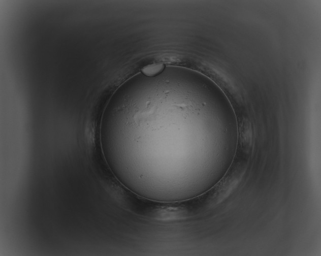 X0000103150315200808291435