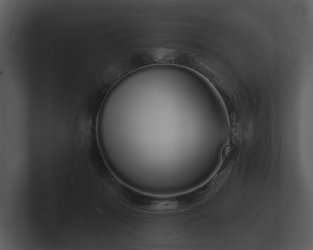 X0000103150319200808291435