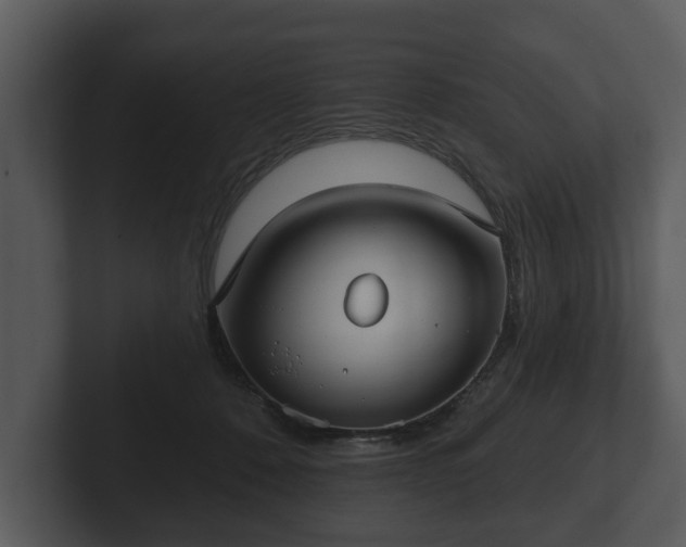 X0000103150320200808291435