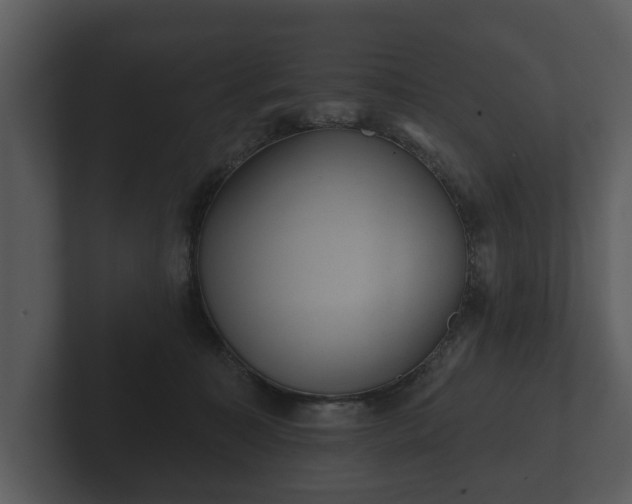 X0000103150323200808291435