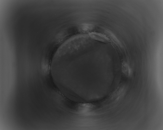 X0000103150324200808291435