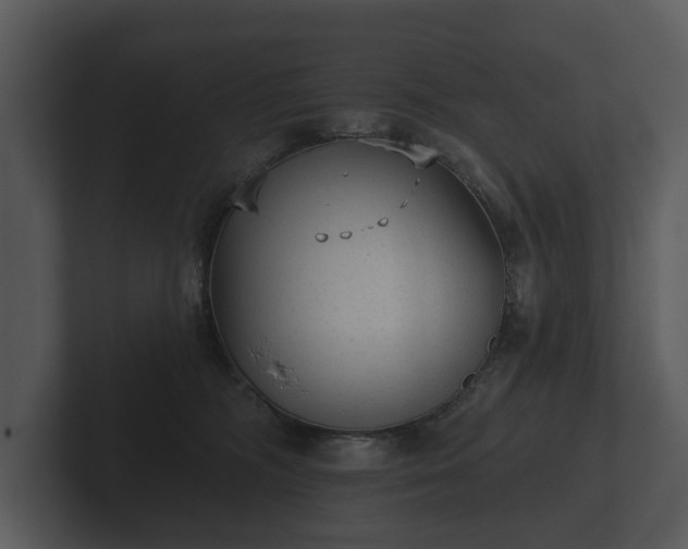 X0000103150326200808291435