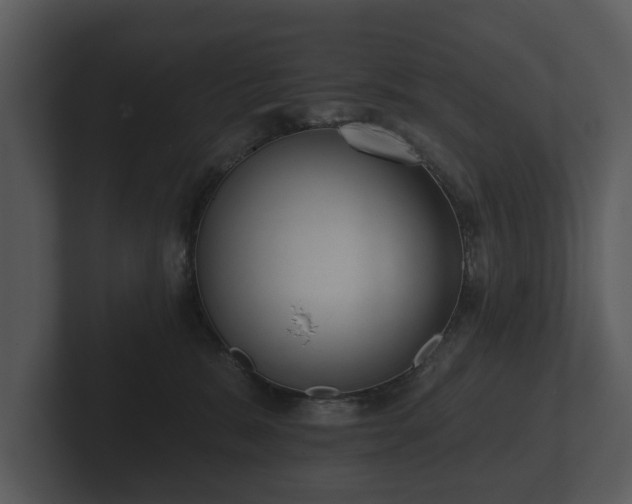 X0000103150327200808291435