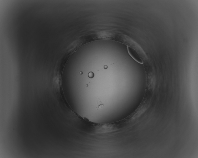 X0000103150329200808291435