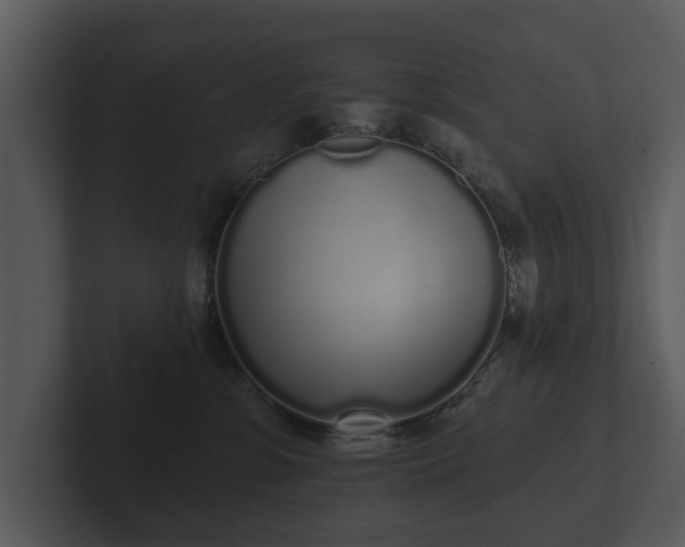 X0000103150331200808291435