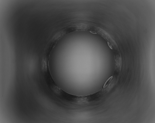 X0000103150333200808291435