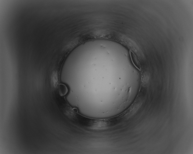 X0000103150335200808291435