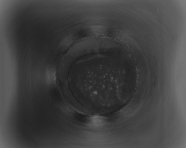 X0000103150336200808291435