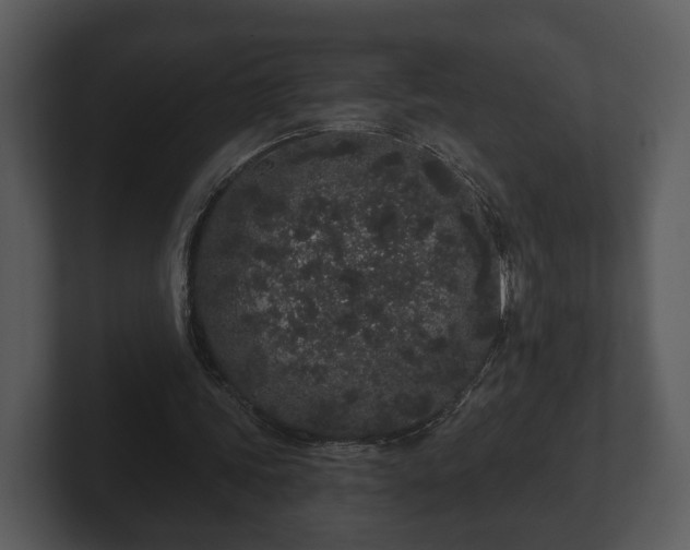 X0000103150339200808291434