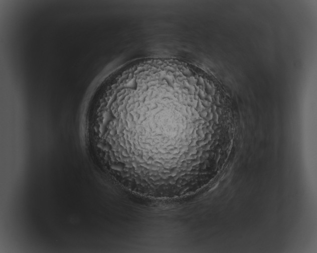 X0000103150343200808291434