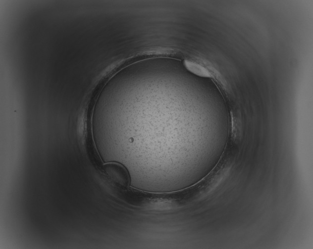 X0000103150348200808291434