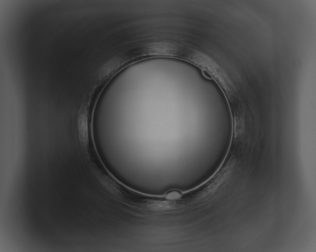 X0000103150349200808291434