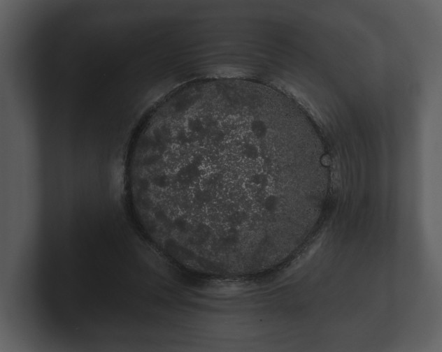 X0000103150351200808291434