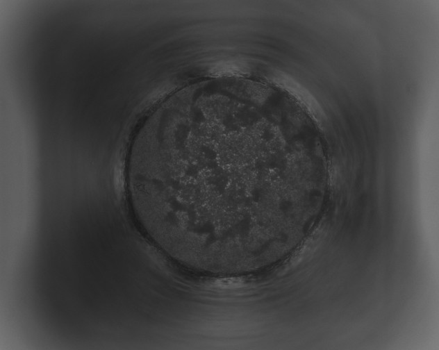 X0000103150353200808291434