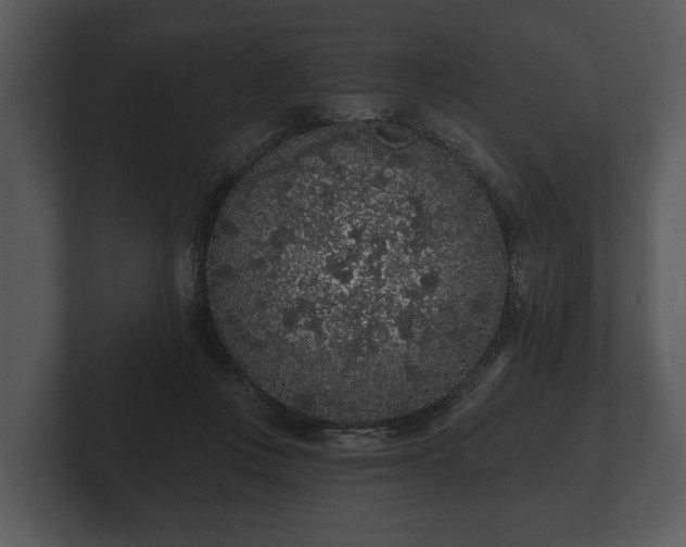 X0000103150359200808291434