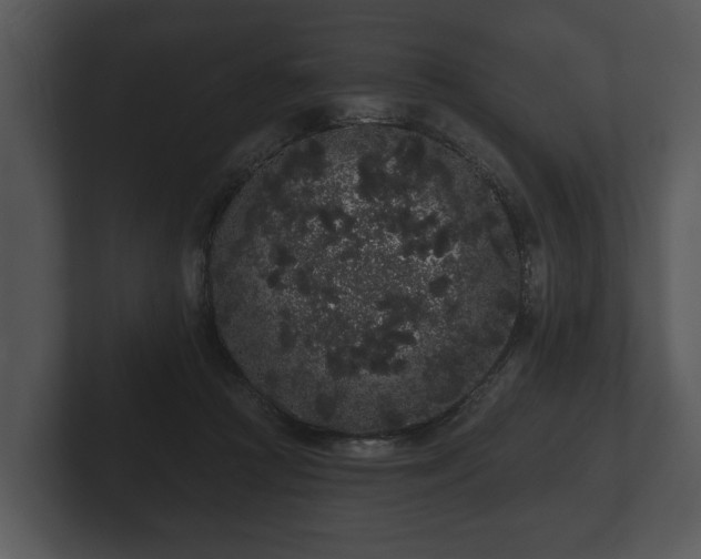 X0000103150361200808291434