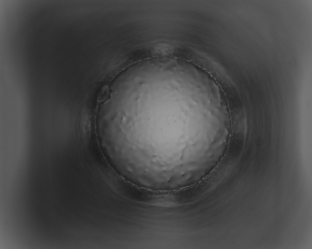 X0000103150363200808291434