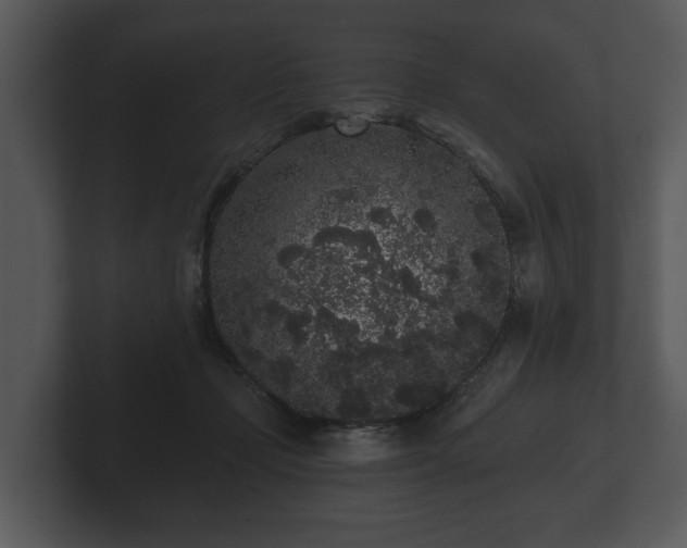 X0000103150365200808291434