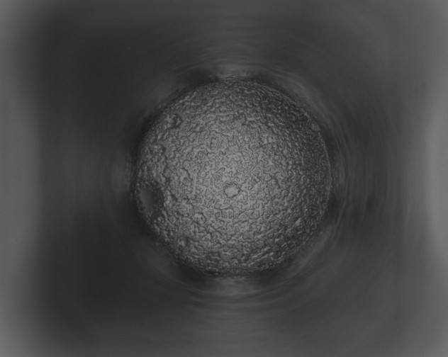 X0000103150367200808291434