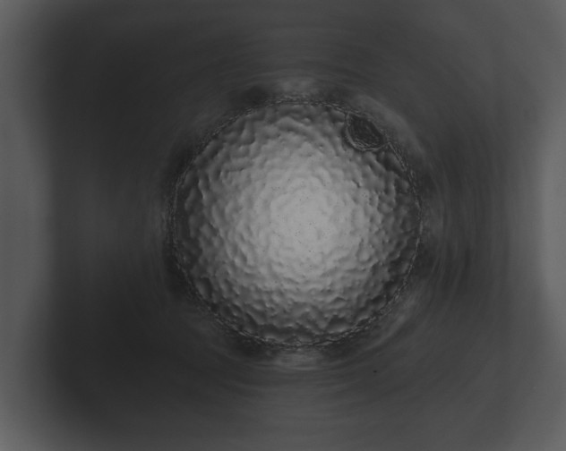 X0000103150369200808291434