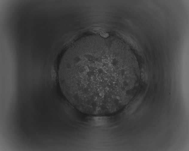 X0000103150371200808291435