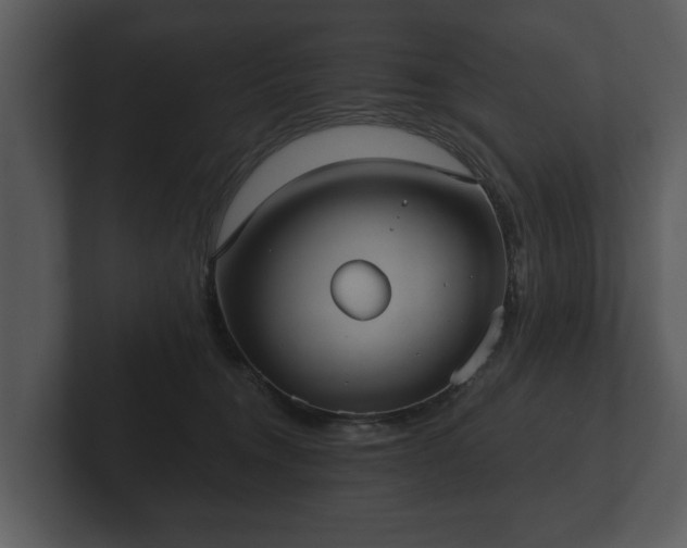 X0000103150372200808291435