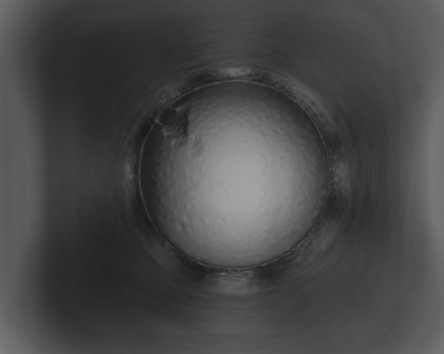 X0000103150373200808291435