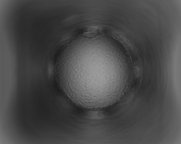 X0000103150375200808291435